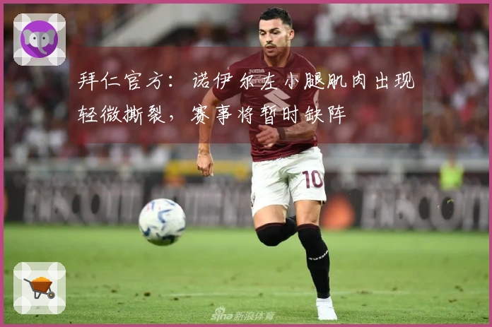 拜仁官方：诺伊尔左小腿肌肉出现轻微撕裂，赛事将暂时缺阵